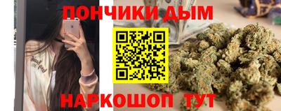 PSILOCYBIN Можга